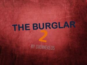The Burglar 2